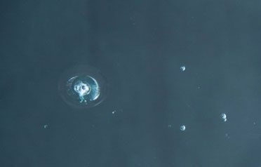 Close-up of multiple rock chips and a bullseye crack on a car windshield